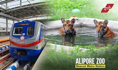Alipore Zoo Nearest Metro Station Theunsure