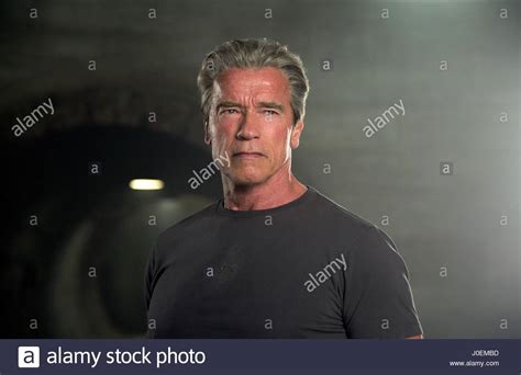 Terminator Movie Schwarzenegger High Resolution Stock Photography And