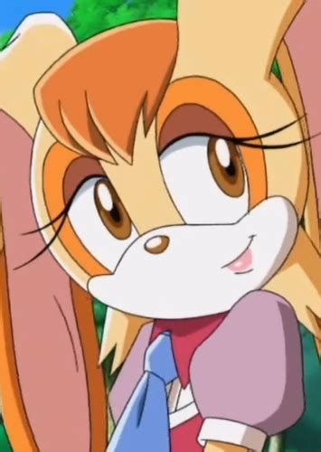 Find An Actor To Play Vanilla The Rabbit In Sonic X Toonami 2003 On