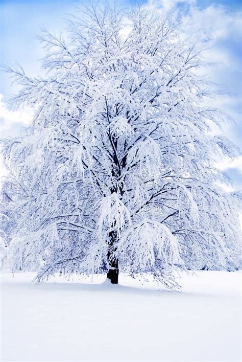 6564879 Winter Photos Free And Royalty Free Stock Photos From Dreamstime