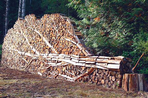 Even A Pile Of Logs Can Be Turned Into Art