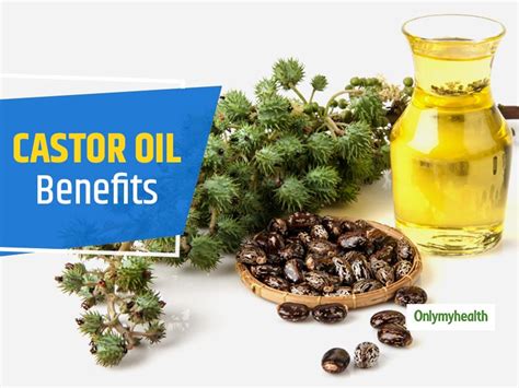 Learn About Some Amazing Health Benefits Of Castor Oil Onlymyhealth