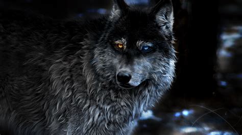 2048x1152 Wolf Heterochromia Fantasy 2048x1152 Resolution Hd 4k