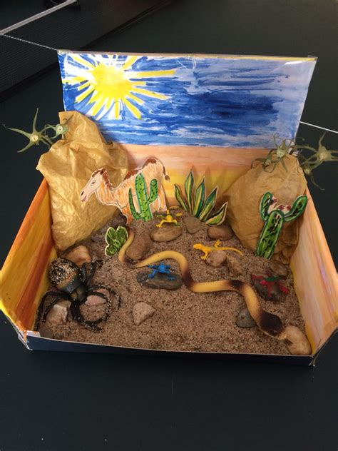 Desert Habitat Diorama I Made It For My Son S St Grade Project Used Shoe Box Paper Glue