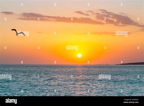 Tropical Sunset On The Beach Australia Vincentia Stock Photo Alamy
