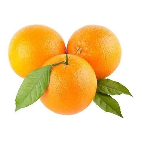 Fresh Orange Valencia 4 Pcs Grocery And Gourmet Foods