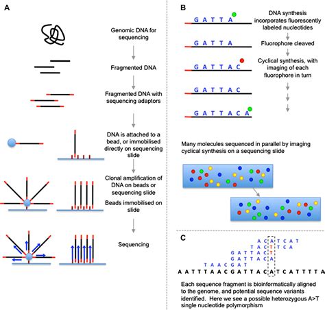 Republished Review Next Generation Sequencing For Clinical Diagnostics
