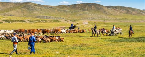 Mongol Nomadic Show Day Tour Discover Mongolia Travel