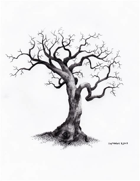 How To Draw A Leafless Tree Lu Moffitt