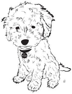 Golden pattern on red, brown and yellow colors with golden elements. Goldendoodle Drawing at GetDrawings | Free download