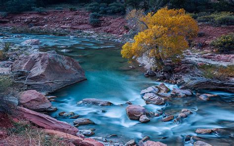 Virgin River In Zion National Park Utah Usa Landscape Photo