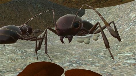 Roblox Ant Simulator Can The Spider Come Out To Play