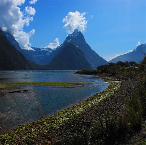 Milford Sound New Zealand Milford Sound Places To Visit Milford