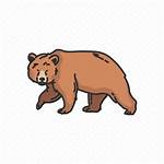 Bear Icon Grizzly Kodiak Wild Mammals Animals