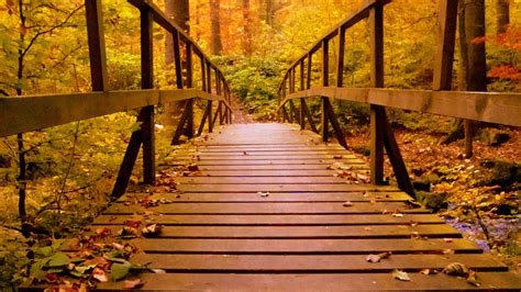 1920x1080 Wooden Bridge Forest Autumn Leaves Laptop Full Hd 1080p Hd 4k Wallpapersimages