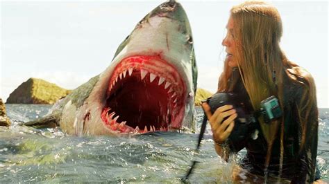 Great White Shark Attacks On Humans Pictures