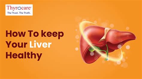 1 Min Health How To Keep Your Liver Healthy Thyrocare Youtube