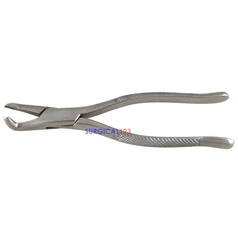 Dental Extracting Forceps 222 3rd Lower Molars Universal Surgical123com
