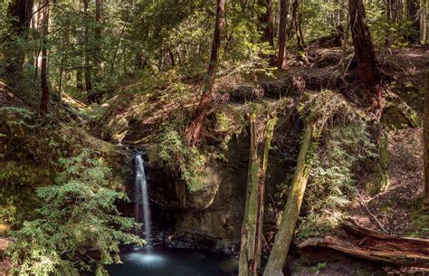 Hidden Waterfall In An Enchanted Forest Etsy Nature Photography