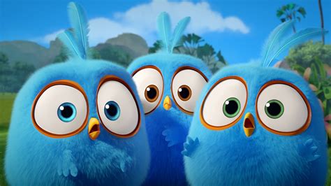 ‘angry Birds Blues Series Co Starring Hatchlings Set To Perch On