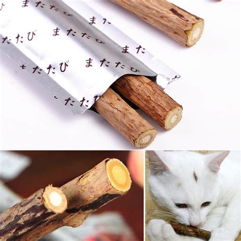 Cat Snacks Matatabi Chew Catnip Stick Teeth Molar Cleaning Brush Toy
