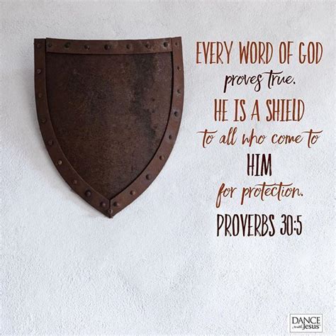 Every Word Of God Proves True He Is A Shield To All Who Come To Him