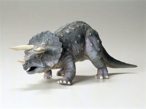 135 Triceratops Eurycephalus