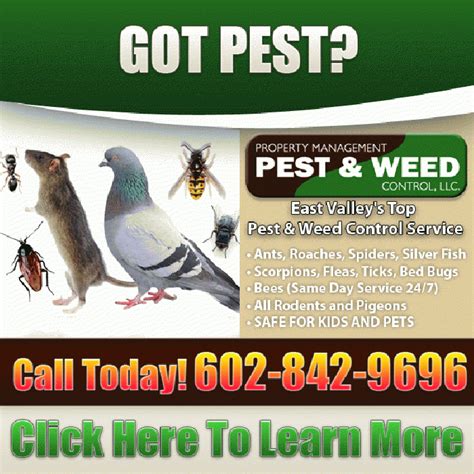 Pest Control Gilbert Az 602 845 9696