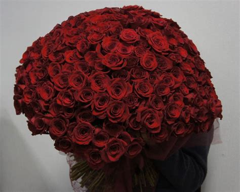 Huge Bouquets Of Red Roses Selection 72 Photos Gorodprizrak