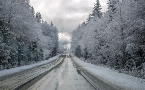 Winter Ice Snow Road Trees Wallpapers Hd Desktop And Mobile