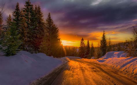 Nature Landscape Mist Sunset Road Winter Snow Forest Norway Gold