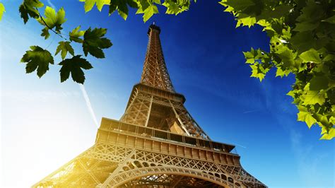 Upward View Paris Eiffel Tower With Blue Sky Background And Green