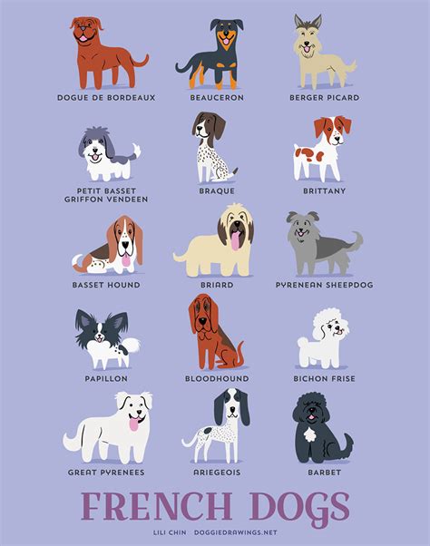 The Origins Of 200 Dog Breeds Explained In Adorable Posters