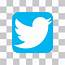 Add Twitter Logo To Your Photos Online
