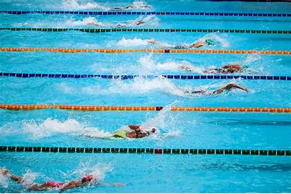 Pexels Swimming