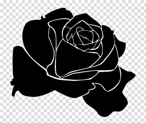 Roses Black Rose Illustration Transparent Background Png Clipart