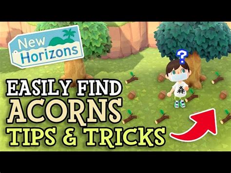 Pine Cones And Acorns In Animal Crossing New Horizons How To Get