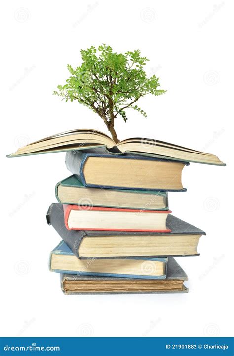Tree Growing From Book Stock Photo Image Of Open Growth 21901882