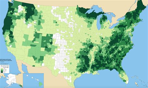The Forest Cover Of The United States Mapped Vivid Maps