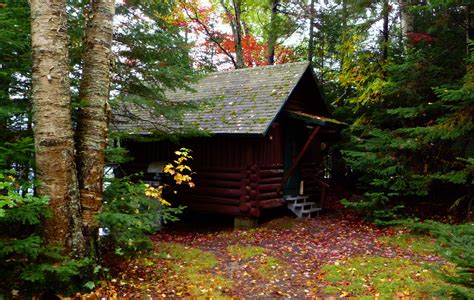 Maybe you would like to learn more about one of these? The Log Blog: It's the browns and the greens. The cabins ...