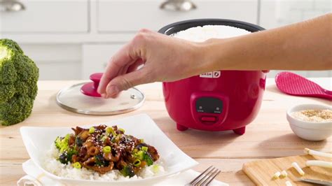 Dash Cup Mini Rice Cooker With Recipes Youtube