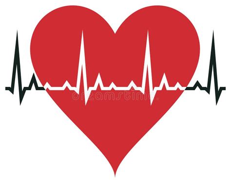 Heart Vector In Red With Cardiogram White Isolated Background Stock