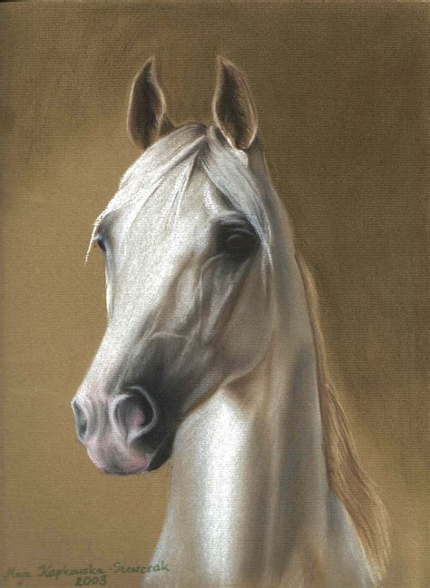 Soft Pastel Horse Artwork Horse Painting Painting And Drawing Chalk