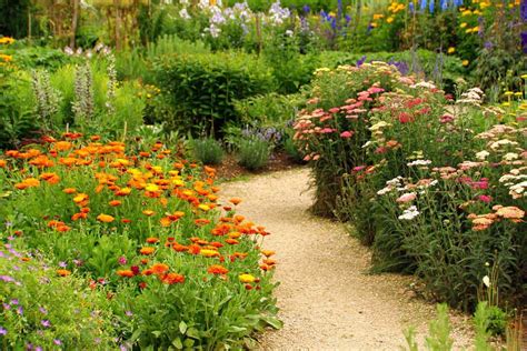 75 Garden Path Ideas You Have To Check Out