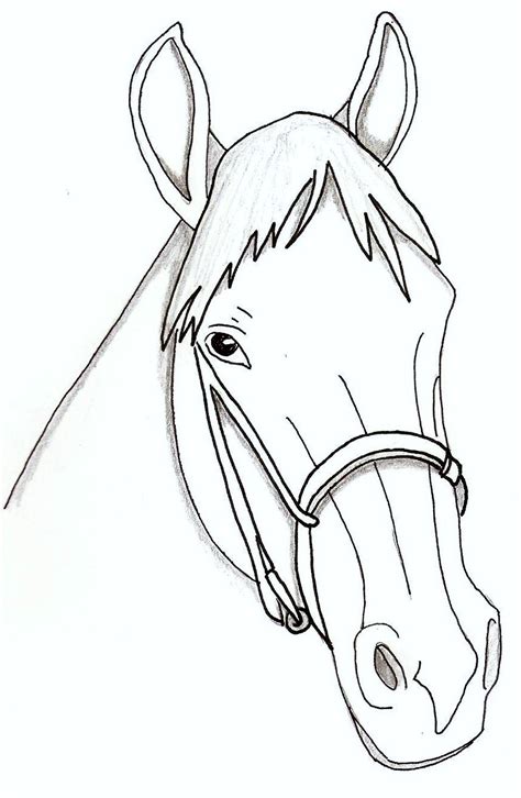 Realistic Horse Head Drawing At Getdrawings Free Download