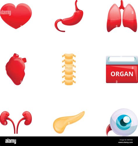 La Donación De órganos Humanos Conjunto De Iconos Cartoon Set De 9