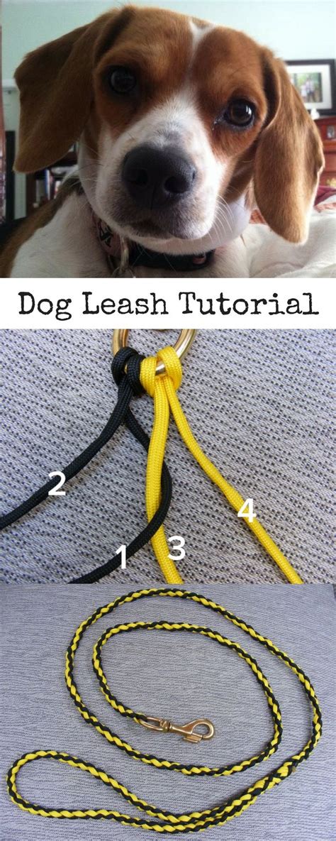 Essentially, the paracord is braided to a snap hook and then. Make A Paracord Dog Leash | Paracord dog leash, Dog leash ...