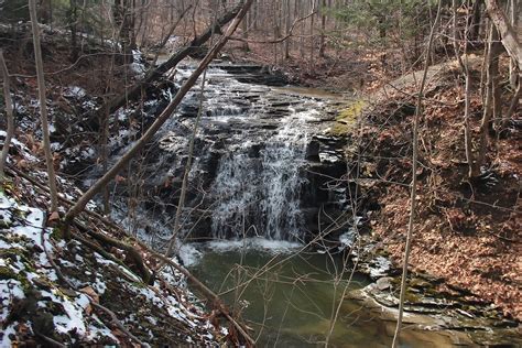 The Land Conservancy Purchases The Owens Falls Sanctuary Protecting It