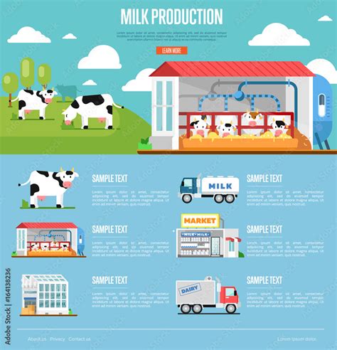 Milk Production Infographics Modern Cow Farm Transportation And