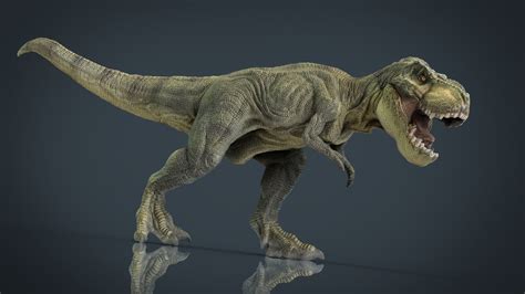 3d Model Tyrannosaurus Rex Vr Ar Low Poly Cgtrader
